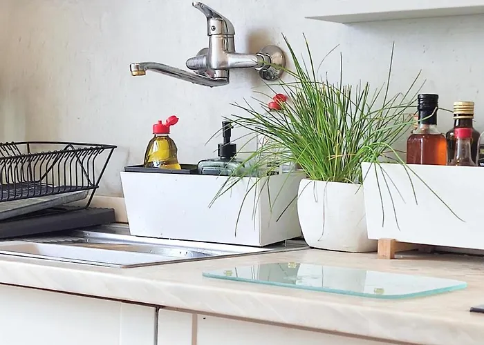 Casa de hóspedes Ih & Espinho (Aveiro)